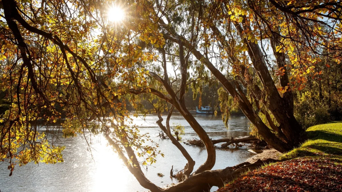 Noreuil Park Foreshore Albury Image Credit Destination NSW