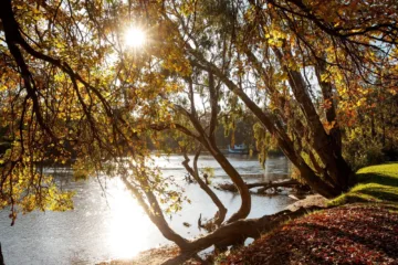 Noreuil Park Foreshore Albury Image Credit Destination NSW