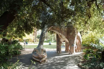 Albury Botanic Gardens Image Credit Destination NSW