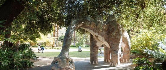 Albury Botanic Gardens Image Credit Destination NSW