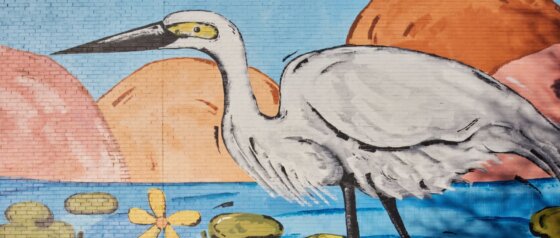 Albury Wodonga Public Art Trail Albury Image Credit Destination NSW