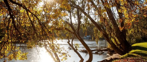 Noreuil Park Foreshore Albury Image Credit Destination NSW