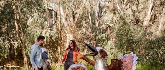 Wagirra Trail and Yindyamarra Sculpture Walk Albury Image Credit Destination NSW
