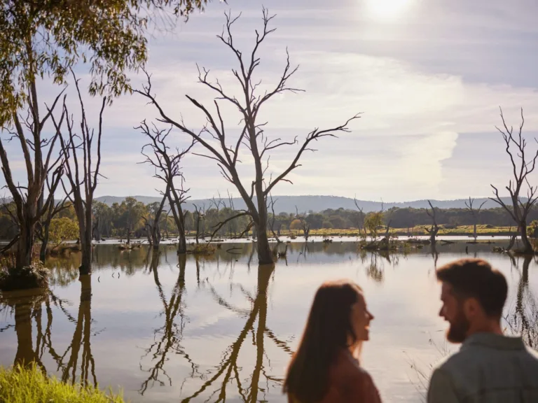 Wagirra Trail and Yindyamarra Sculpture Walk Albury Image Credit Destination NSW