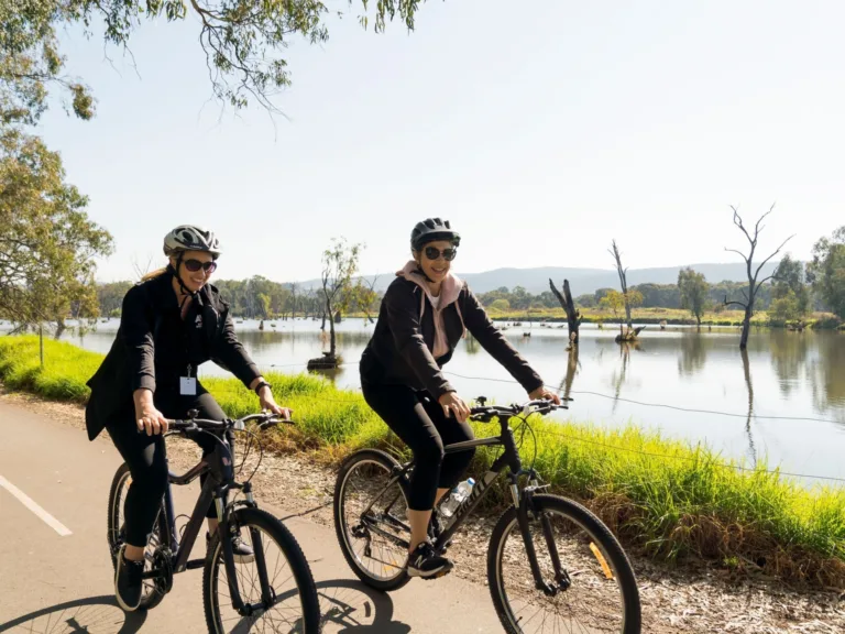 Wagirra Trail and Yindyamarra Sculpture Walk Albury Image Credit Destination NSW