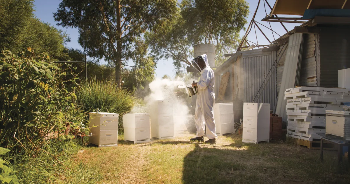 The House of Honey