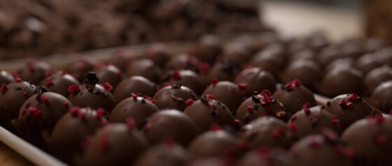 Whistlers Chocolate Company