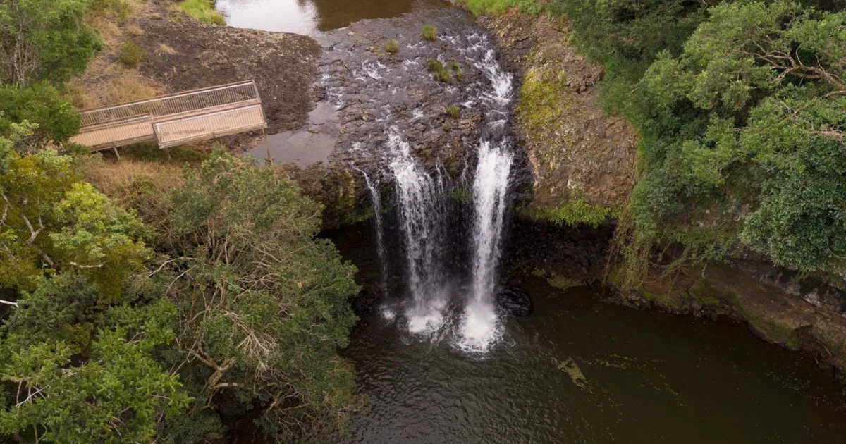 Rise Up Byron Conscious Tours Killen Falls