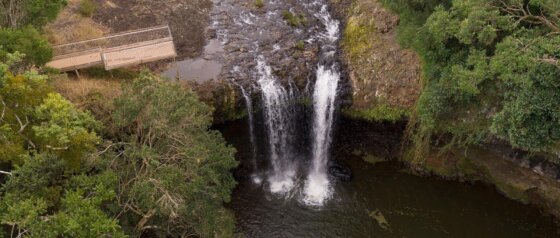 Rise Up Byron Conscious Tours Killen Falls