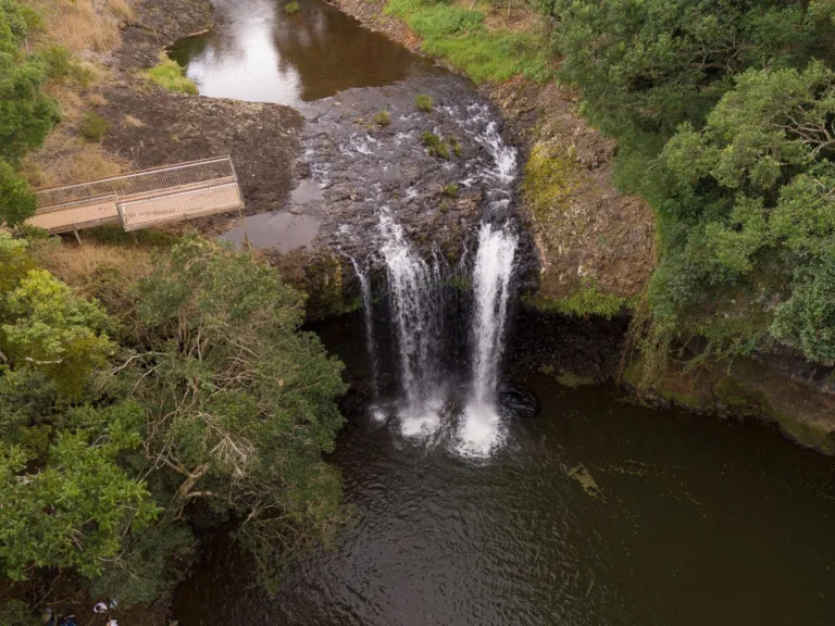 Rise Up Byron Conscious Tours Killen Falls