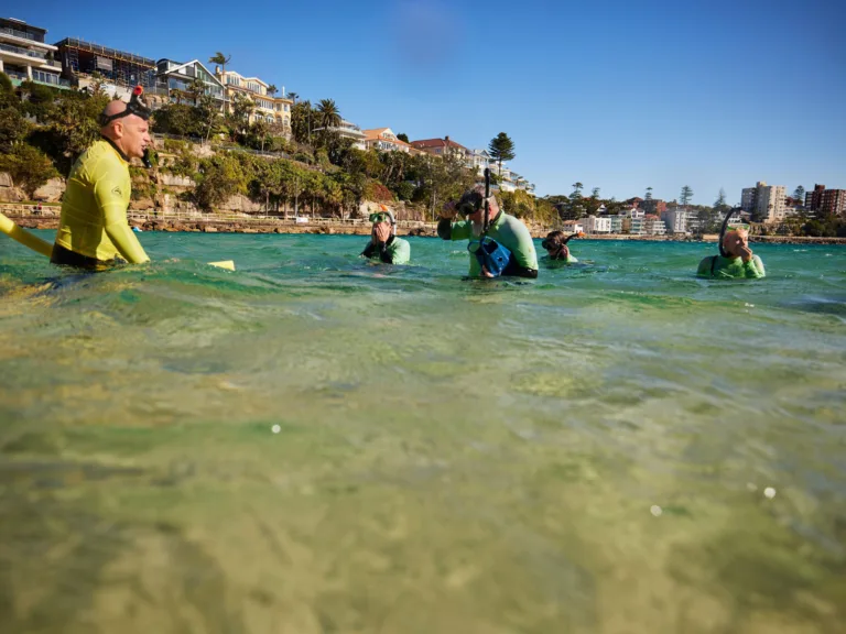 A group of snorkellers with an instructor standing in the shallow waters of Shelly Beach, preparing to explore the Cabbage Tree Bay Aquatic Reserve on a sunny day.
