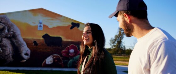 Camden Town Farm Shed