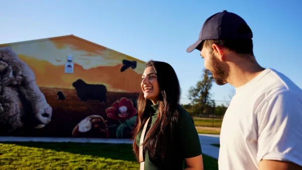 Camden Town Farm Shed