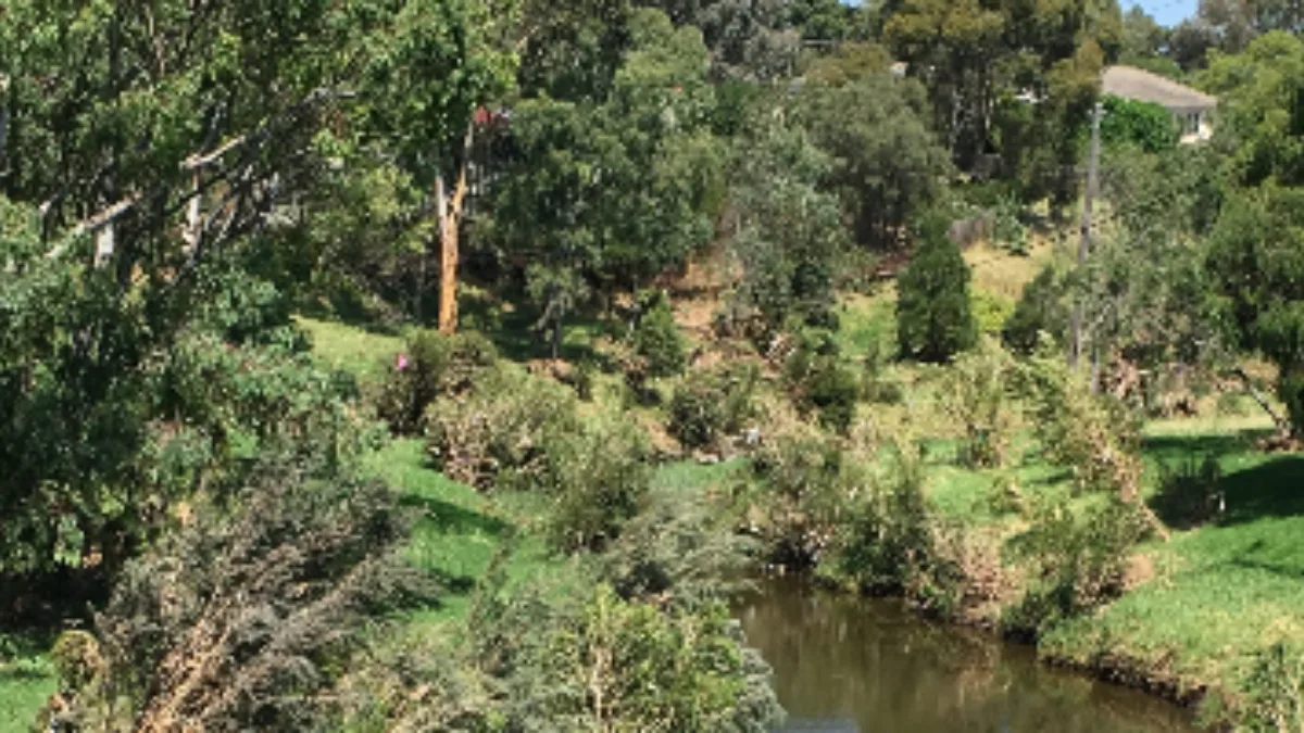 Merri Creek Trail