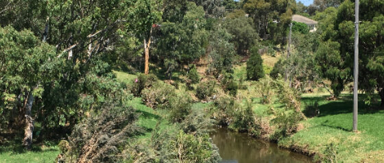 Merri Creek Trail