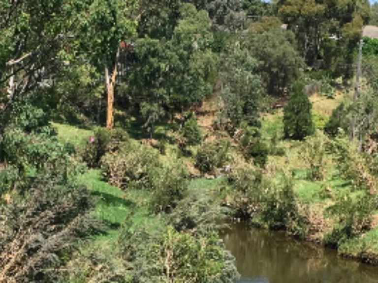 Merri Creek Trail