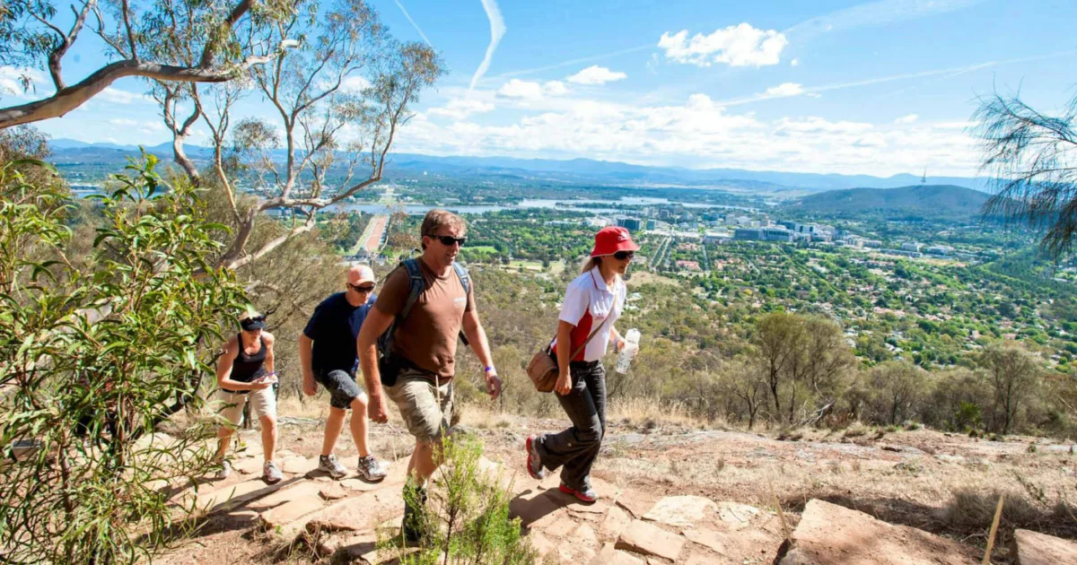 Mount Ainslie Lookout