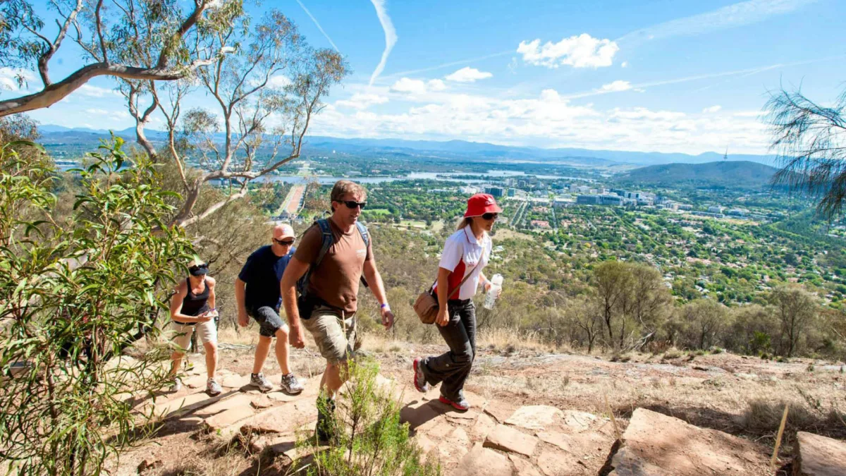 Mount Ainslie Lookout