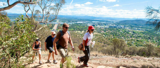 Mount Ainslie Lookout