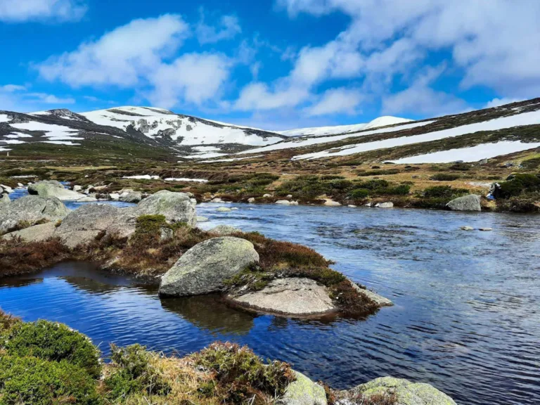 Snowy Mountains