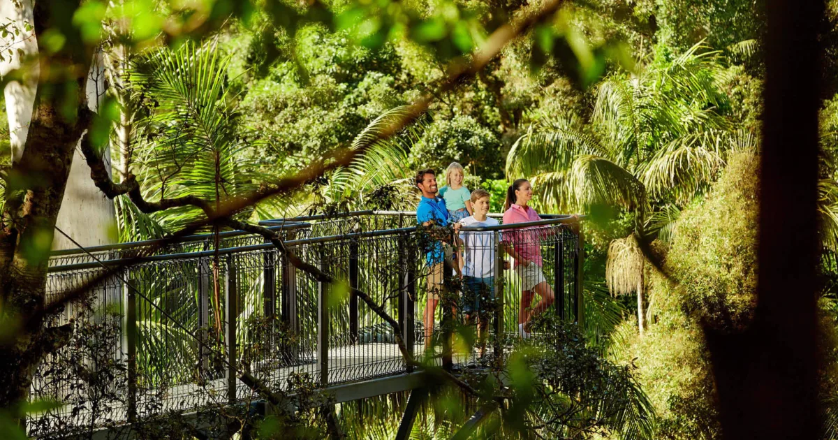 Treetop Walk