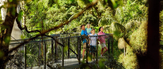Treetop Walk