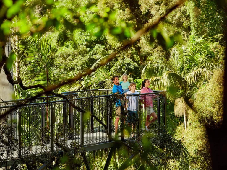 Treetop Walk