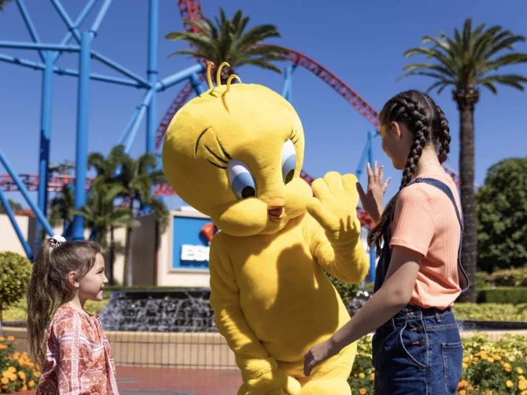 Warner Bros Movie World Tweety Bird