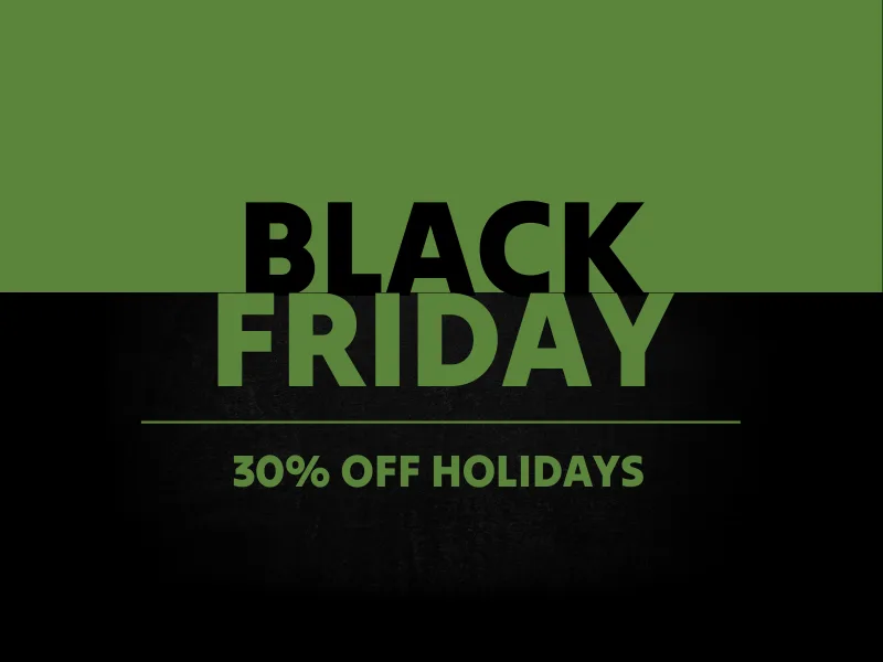 Black Friday Sale