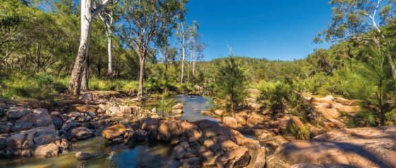 Crows Nest National Park. Image Credit: TEQ