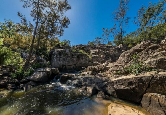 Crows Nest Falls. Image Credit: Queensland Country Tourism