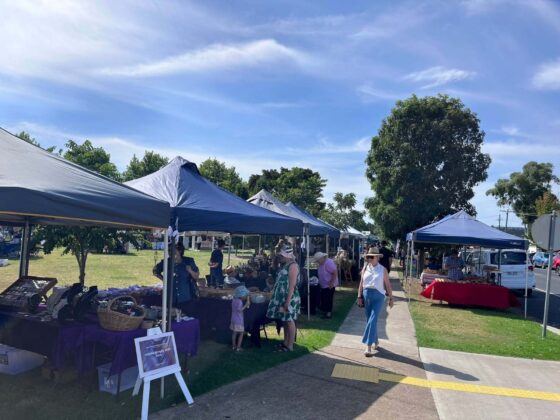 People browsing market stalls beneath blue marquees at the Crows Nest QLD Markets on a sunny day, with local artisan vendors, leafy park surrounds, and a clear blue sky.