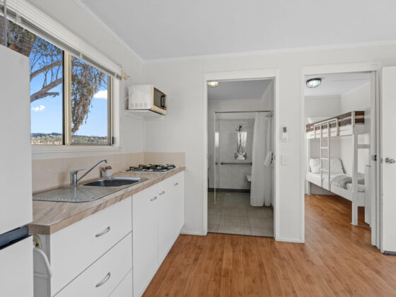 Pet-friendly standard unit in Crows Nest Tourist Park