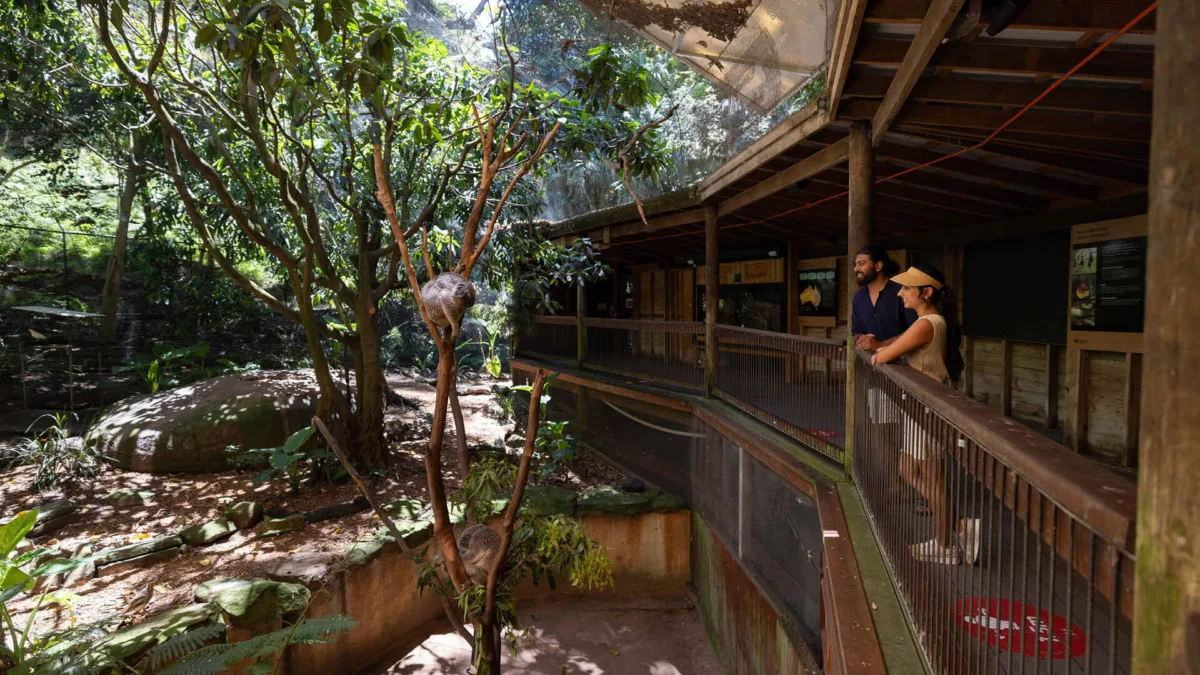 Blackbutt Reserve Newcastle