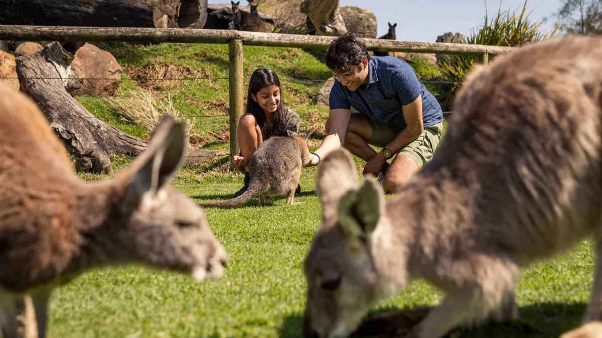 Oakvale Wildlife Park Salt Ash