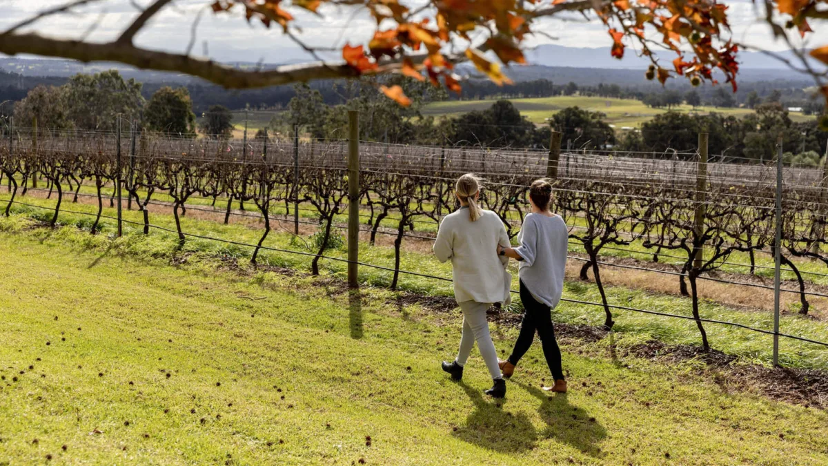 Scarborough Wine Co Pokolbin