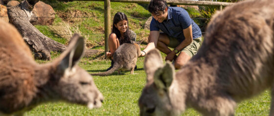 Oakvale Wildlife Park Salt Ash