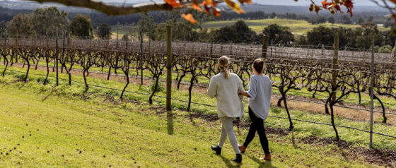 Scarborough Wine Co Pokolbin