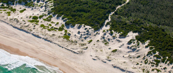 Stockton Bight Sand Dunes Port Stephens