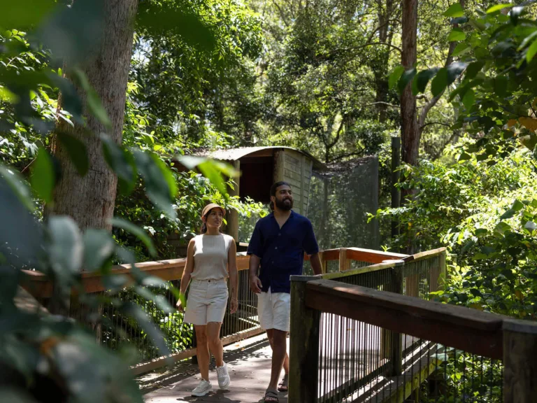 Blackbutt Reserve Newcastle Boardwalk