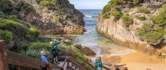 Sapphire Coast Image Credit Destination NSW