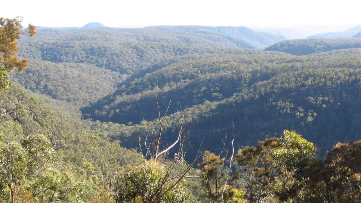 Box Vale Image Credit Visit Southern Highlands