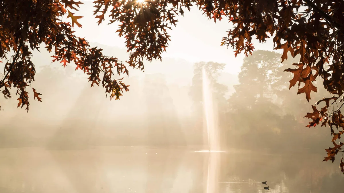 Lake Alexandra Reserve Mittagong Image Credit Destination NSW