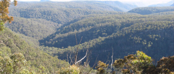 Box Vale Image Credit Visit Southern Highlands