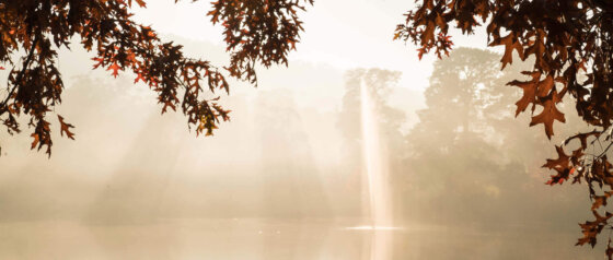 Lake Alexandra Reserve Mittagong Image Credit Destination NSW