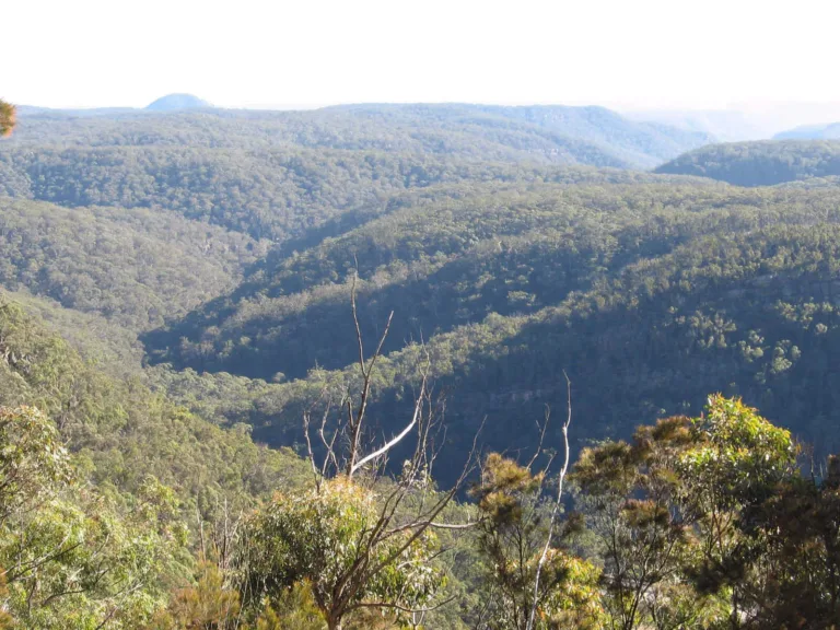 Box Vale Image Credit Visit Southern Highlands