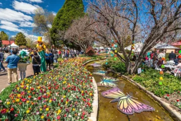 Tulip Time Festival Bowral
