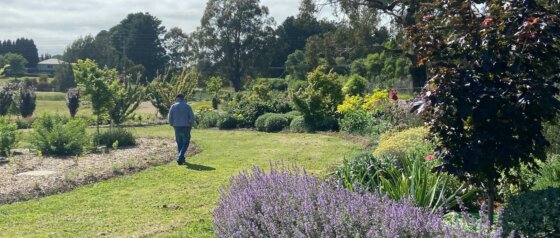 Southern Highlands Botanic Gardens
