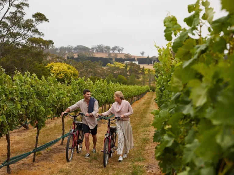 Centennial Vineyards Bowral