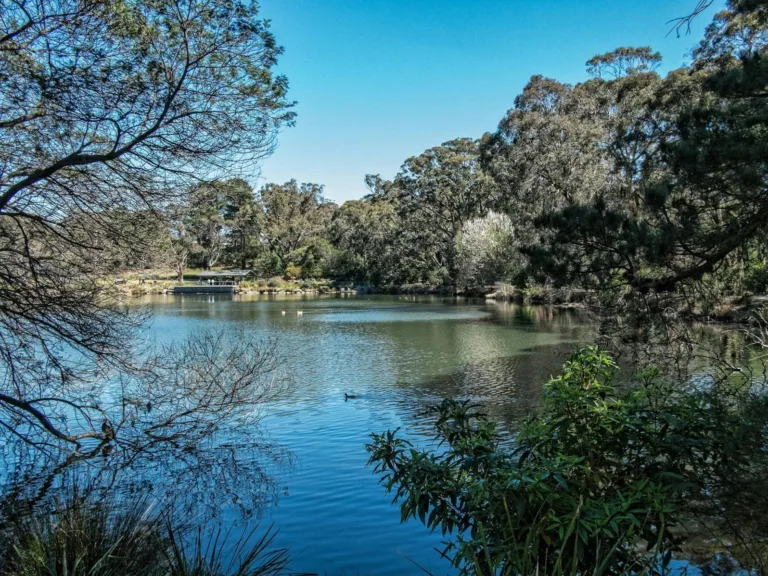 Lake Alexandra Reserve